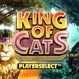 King-of-Cats